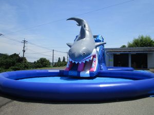 adventurewaterpark-shark