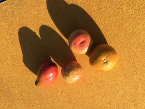 fruitsballing-ball