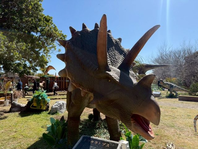 恐竜オブジェ・骨格