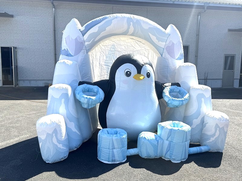 正面からの画像②