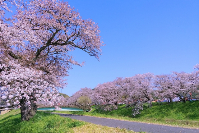 4月の記念日といえば？イベント企画に役立つアイデアとおすすめアイテムを紹介