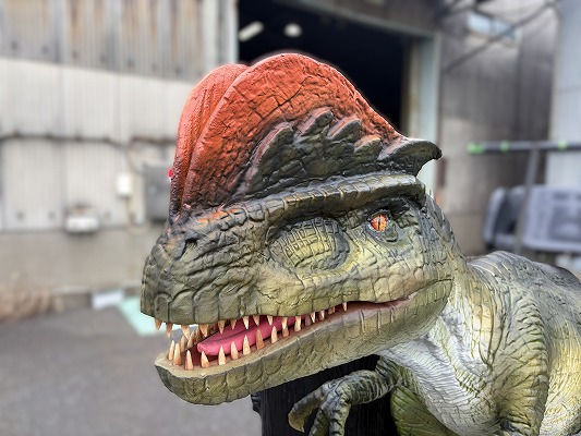 ディロフォサウルスの特徴的なとさか