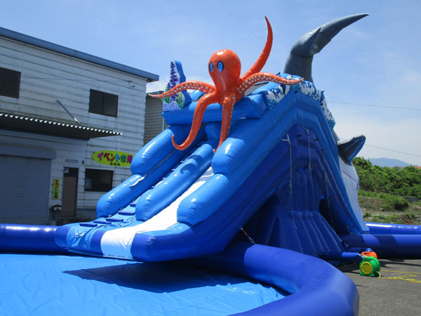 adventurewaterpark-octopus2
